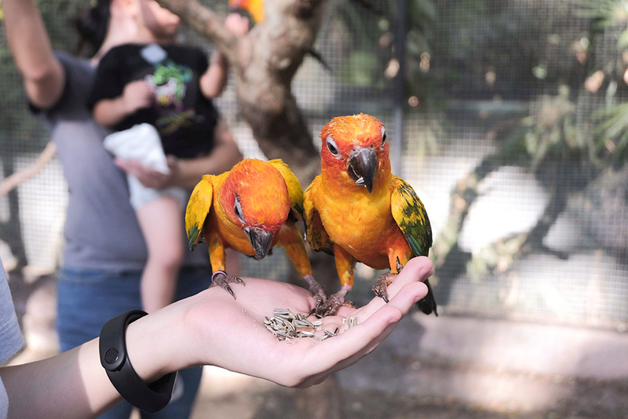 6 สวนสัตว์ใกล้กรุงเทพฯ เที่ยวสนุกทุกวัย สัมผัสสัตว์แบบใกล้ชิด