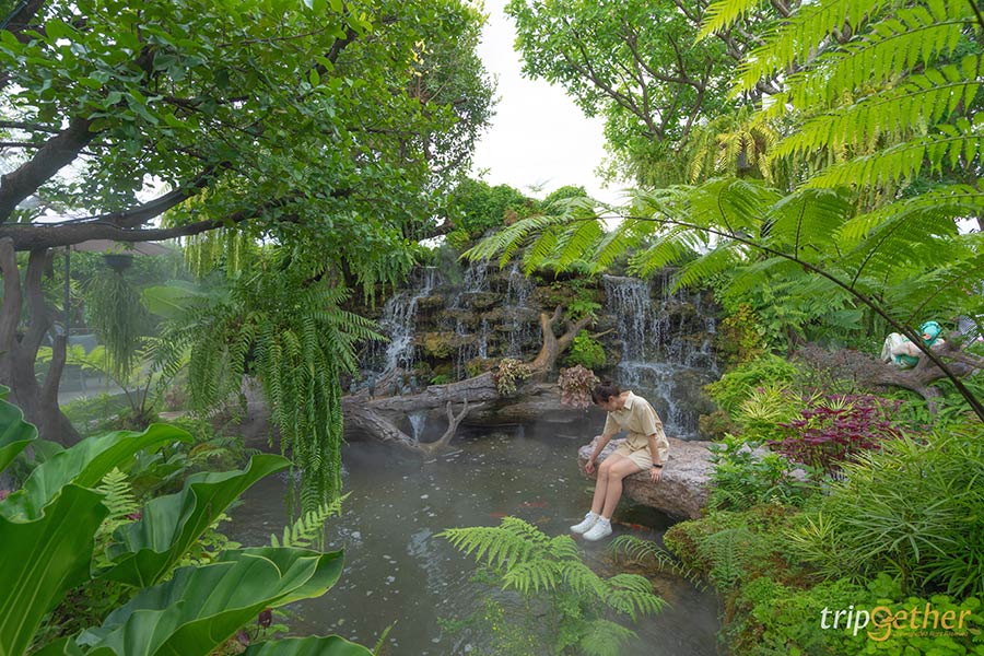 คาเฟ่ในสวน กรุงเทพ