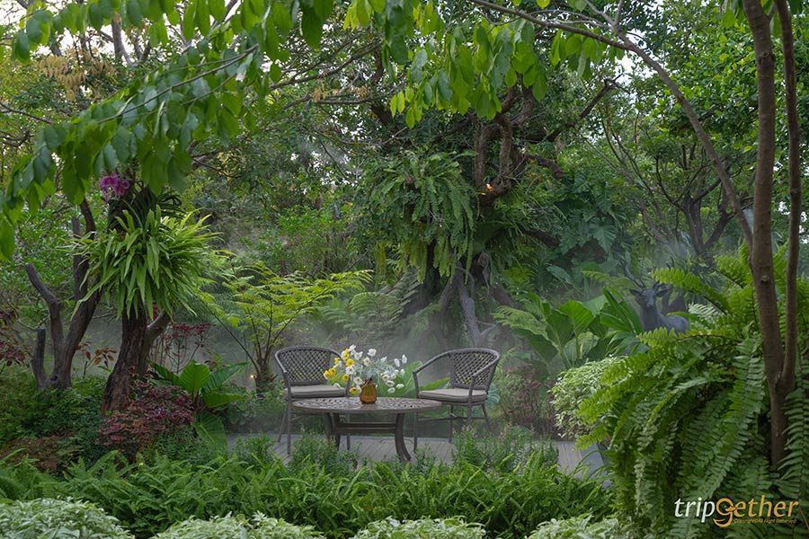 คาเฟ่ในสวน กรุงเทพ