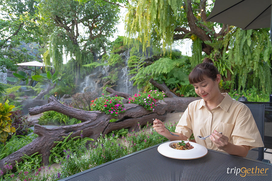 คาเฟ่ในสวน กรุงเทพ