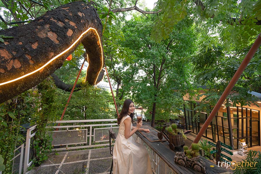 คาเฟ่ในสวน กรุงเทพ