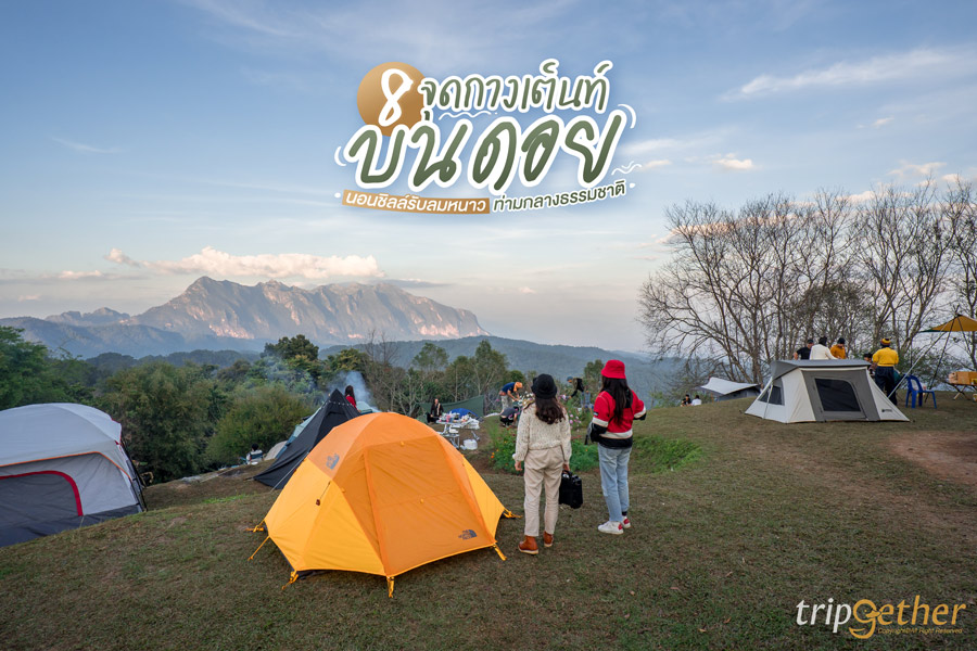 8 จุดกางเต็นท์บนดอย โซนภาคเหนือ นอนชิลล์รับลมหนาวท่ามกลางธรรมชาติ