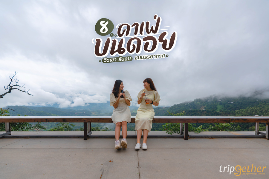 8 คาเฟ่บนดอย วิวเขา รับลม ชมบรรยากาศ