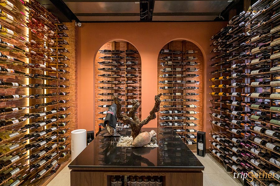 8 คาเฟ่และร้านอาหาร ย่านราชพฤกษ์ อัปเดต 2023 คัดร้านเด็ด บรรยากาศดี คอนเซ็ปต์เก๋ที่ห้ามพลาด!