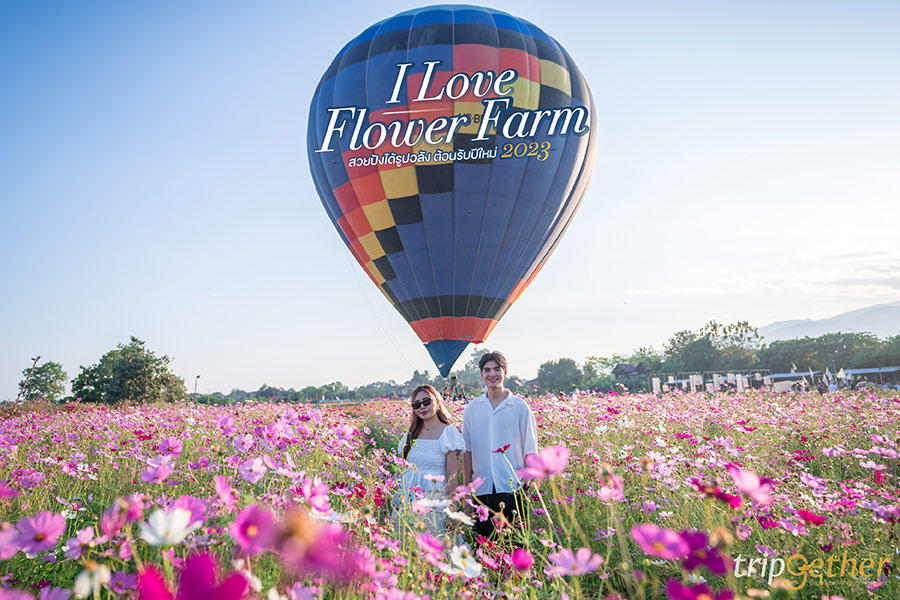 I Love Flower Farm สวนดอกไม้เชียงใหม่ สวยปังได้รูปอลังต้อนรับปีใหม่ 2023