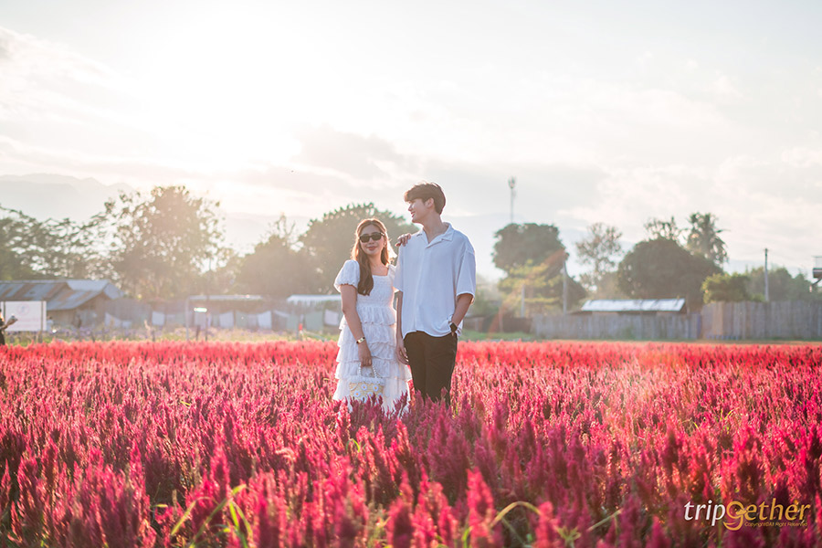 15 ที่เที่ยวช่วงต้นปี เช็คอินชิลล์ๆ กับอากาศอบอุ่น