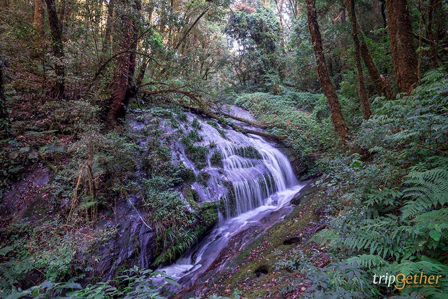 15 ที่เที่ยวช่วงต้นปี เช็คอินชิลล์ๆ กับอากาศอบอุ่น