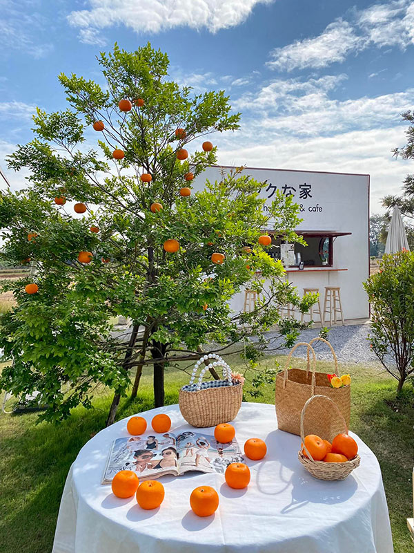 5 คาเฟ่ขอนแก่น