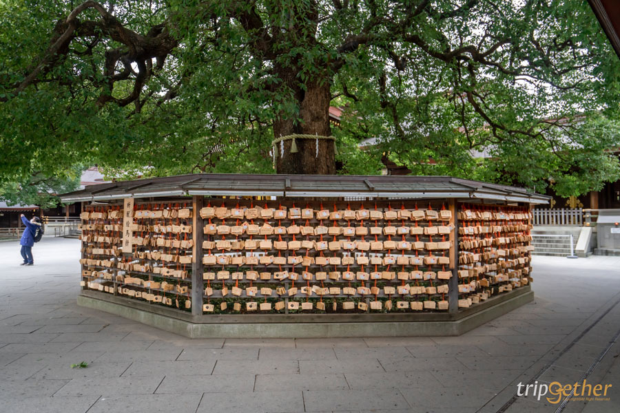 ทริปญี่ปุ่น 4 วัน 3 คืน แพลนเที่ยวเอง ด้วยงบ 10,000 เดียว!