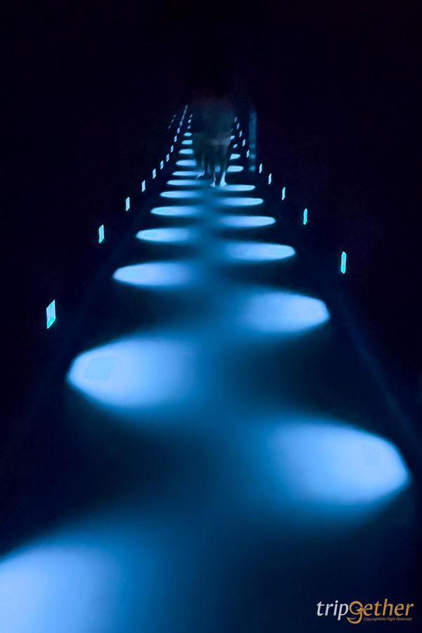 teamLab Planets TOKYO ที่เที่ยวโตเกียวสุดอาร์ต สัมผัสที่เป็นหนึ่งเดียวกับศิลปะ!