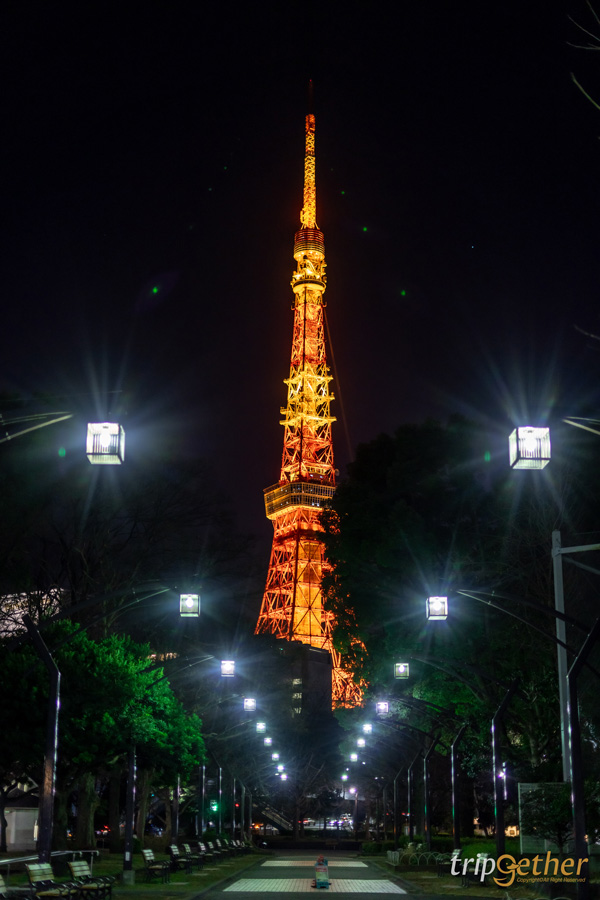 ทริปญี่ปุ่น 4 วัน 3 คืน แพลนเที่ยวเอง ด้วยงบ 10,000 เดียว!