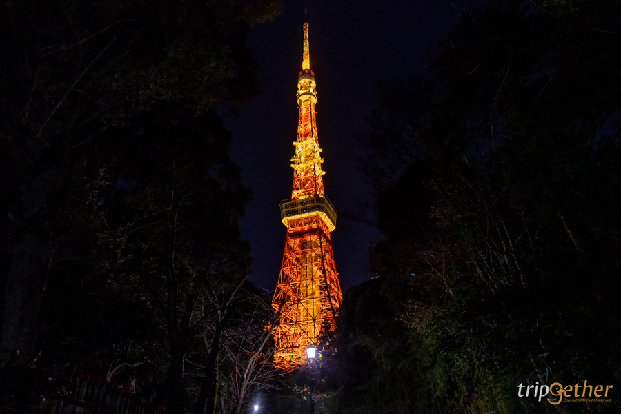 ทริปญี่ปุ่น 4 วัน 3 คืน แพลนเที่ยวเอง ด้วยงบ 10,000 เดียว!