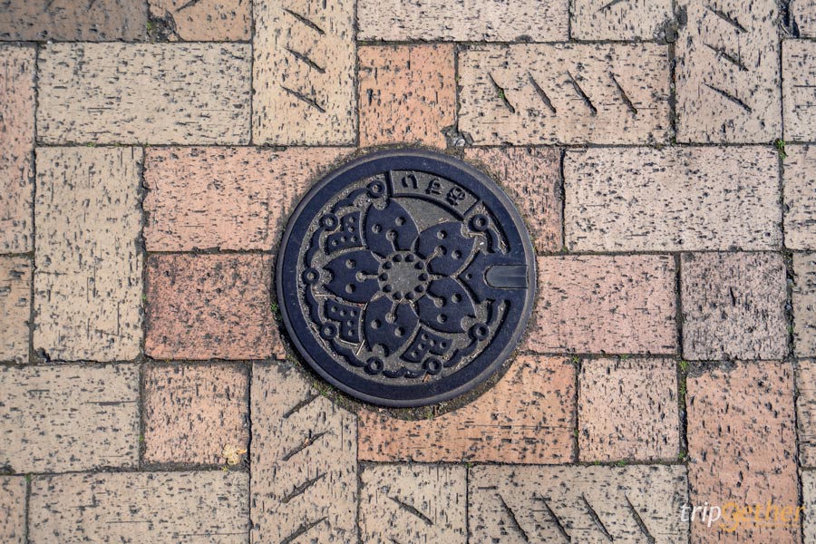 ทริปญี่ปุ่น 4 วัน 3 คืน แพลนเที่ยวเอง ด้วยงบ 10,000 เดียว!