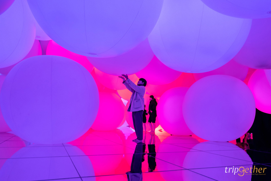 ทริปญี่ปุ่น 4 วัน 3 คืน แพลนเที่ยวเอง ด้วยงบ 10,000 เดียว!