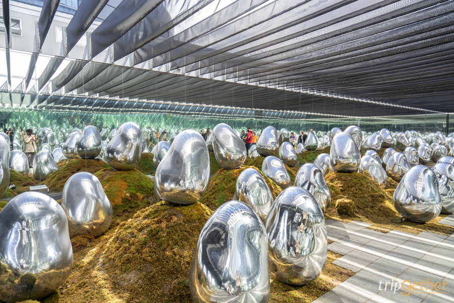 teamLab Planets TOKYO ที่เที่ยวโตเกียวสุดอาร์ต สัมผัสที่เป็นหนึ่งเดียวกับศิลปะ!