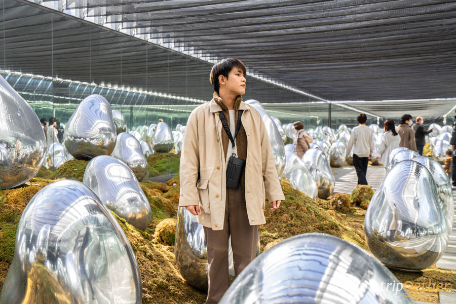 teamLab Planets TOKYO ที่เที่ยวโตเกียวสุดอาร์ต สัมผัสที่เป็นหนึ่งเดียวกับศิลปะ!