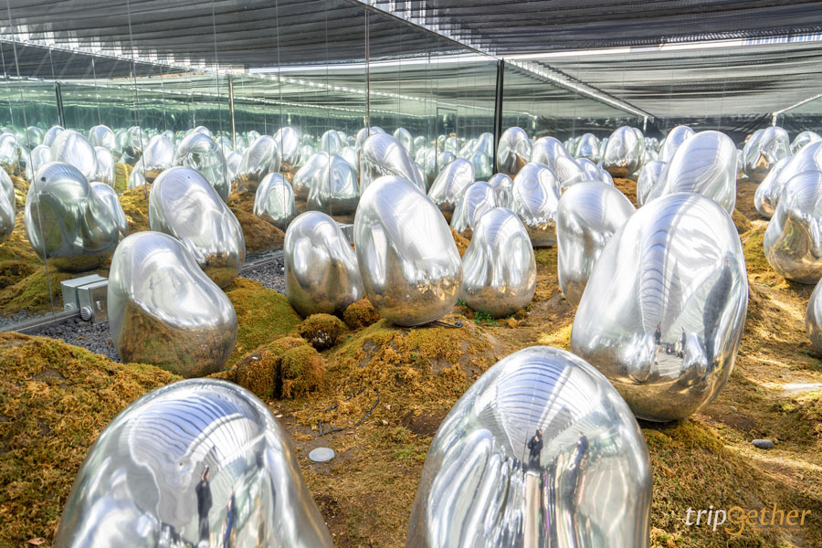 teamLab Planets TOKYO ที่เที่ยวโตเกียวสุดอาร์ต สัมผัสที่เป็นหนึ่งเดียวกับศิลปะ!