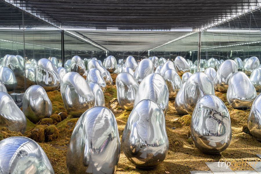 ทริปญี่ปุ่น 4 วัน 3 คืน แพลนเที่ยวเอง ด้วยงบ 10,000 เดียว!