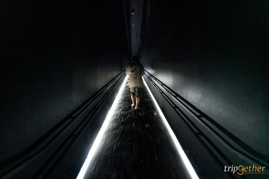 teamLab Planets TOKYO ที่เที่ยวโตเกียวสุดอาร์ต สัมผัสที่เป็นหนึ่งเดียวกับศิลปะ!