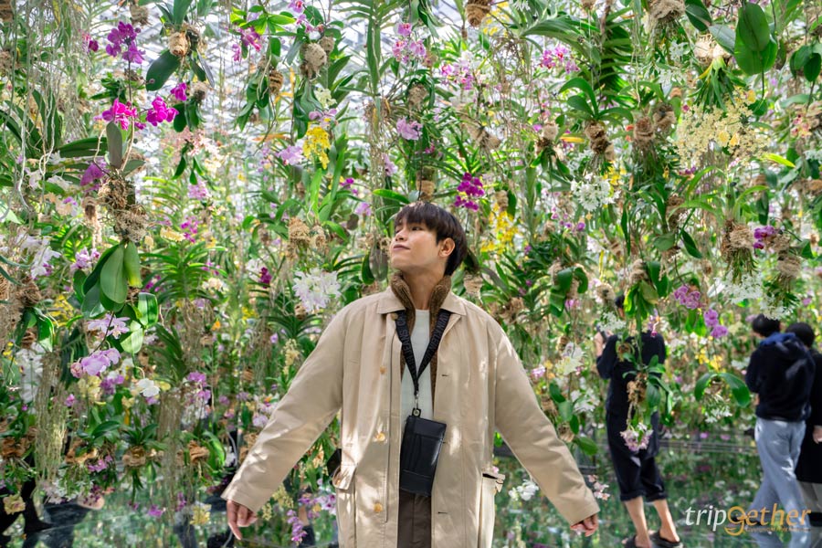 teamLab Planets TOKYO ที่เที่ยวโตเกียวสุดอาร์ต สัมผัสที่เป็นหนึ่งเดียวกับศิลปะ!