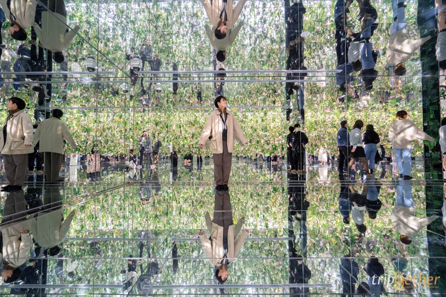 teamLab Planets TOKYO ที่เที่ยวโตเกียวสุดอาร์ต สัมผัสที่เป็นหนึ่งเดียวกับศิลปะ!