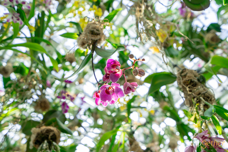 teamLab Planets TOKYO ที่เที่ยวโตเกียวสุดอาร์ต สัมผัสที่เป็นหนึ่งเดียวกับศิลปะ!
