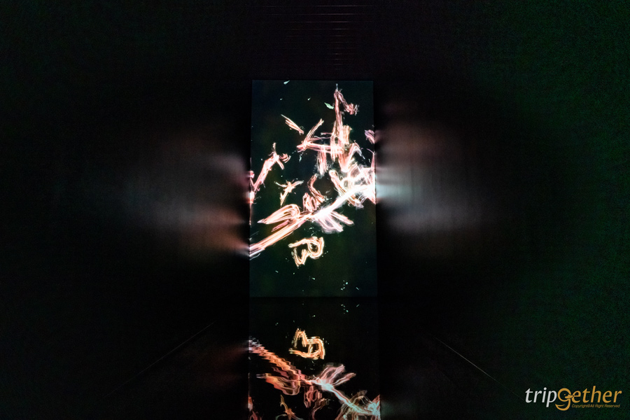 teamLab Planets TOKYO ที่เที่ยวโตเกียวสุดอาร์ต สัมผัสที่เป็นหนึ่งเดียวกับศิลปะ!