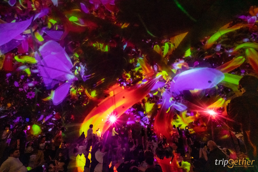 teamLab Planets TOKYO ที่เที่ยวโตเกียวสุดอาร์ต สัมผัสที่เป็นหนึ่งเดียวกับศิลปะ!