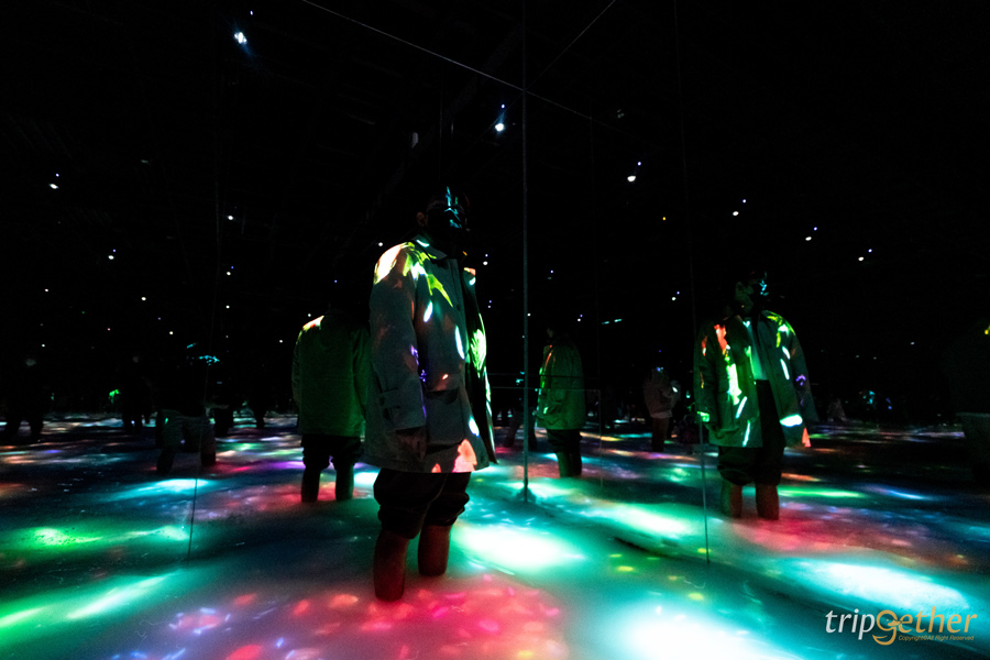 teamLab Planets TOKYO ที่เที่ยวโตเกียวสุดอาร์ต สัมผัสที่เป็นหนึ่งเดียวกับศิลปะ!