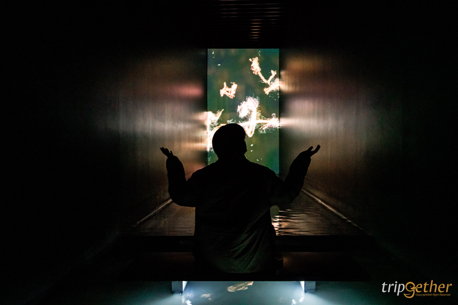 teamLab Planets TOKYO ที่เที่ยวโตเกียวสุดอาร์ต สัมผัสที่เป็นหนึ่งเดียวกับศิลปะ!