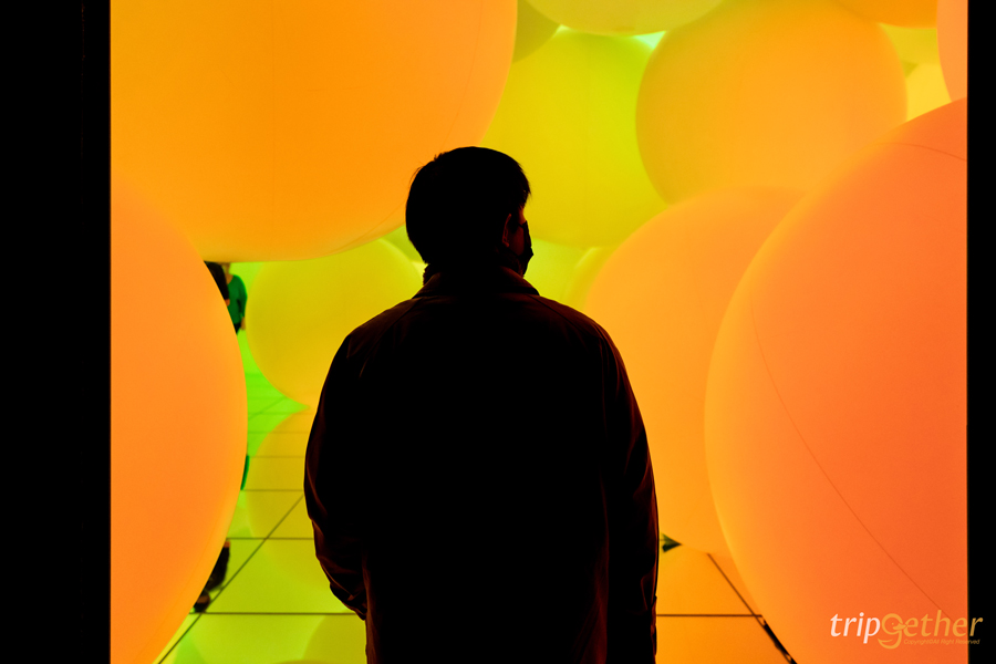 teamLab Planets TOKYO ที่เที่ยวโตเกียวสุดอาร์ต สัมผัสที่เป็นหนึ่งเดียวกับศิลปะ!