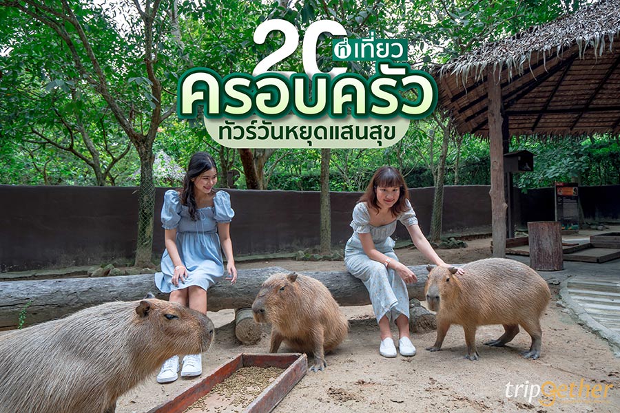 20 ที่เที่ยวครอบครัว ทัวร์วันหยุดแสนสุข