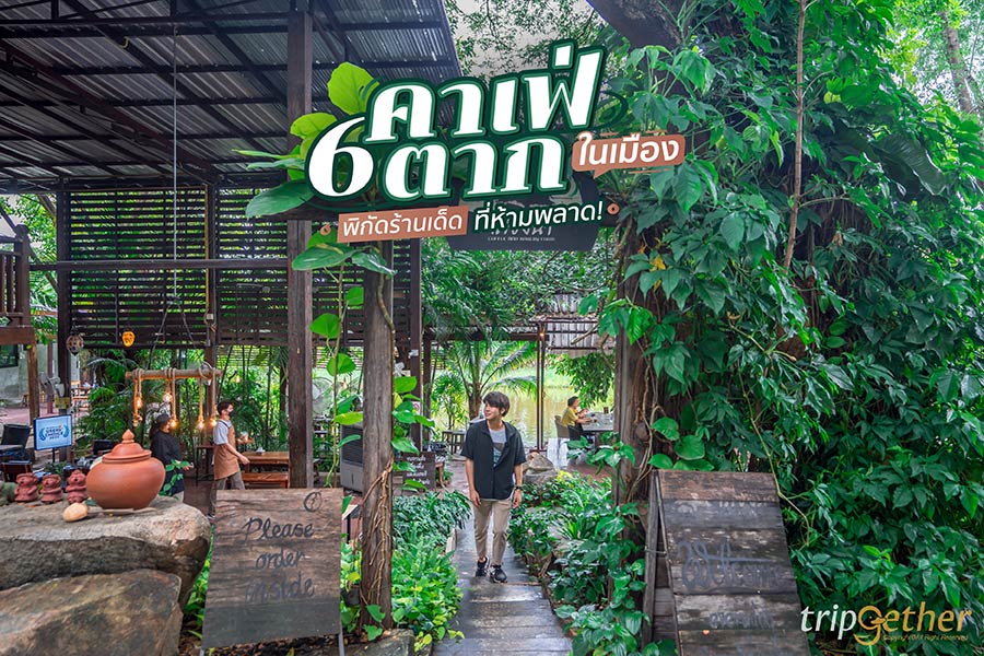 6 คาเฟ่ตาก ในเมือง พิกัดร้านเด็ดที่ห้ามพลาด!