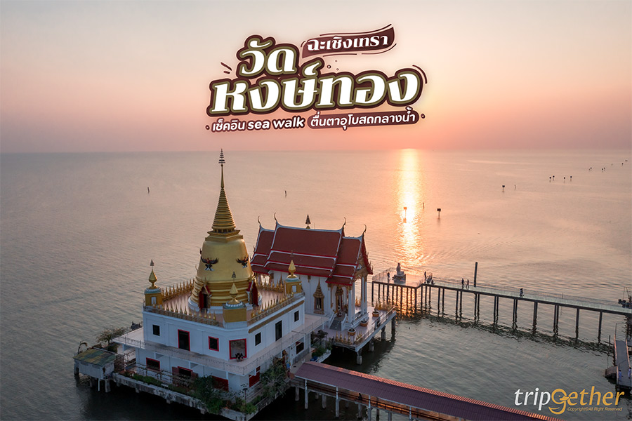 วัดหงษ์ทอง ฉะเชิงเทรา เช็คอิน sea walk แห่งแรกในไทย ตื่นตากับอุโบสถกลางน้ำ