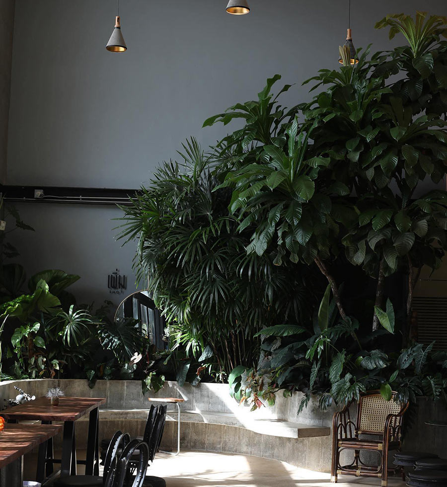 9 คาเฟ่ระยอง กลางธรรมชาติ เอาใจสายนั่งชิลล์