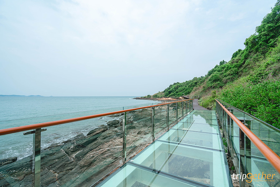 Sky Walk เขาแหลมหญ้า แลนด์มาร์กใหม่ระยอง