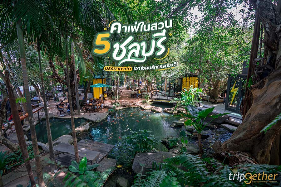 5 คาเฟ่ในสวนชลบุรี