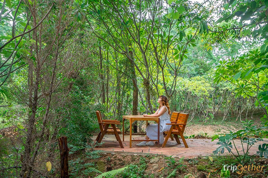 7 ร้านอาหาร คาเฟ่ริมน้ำตก