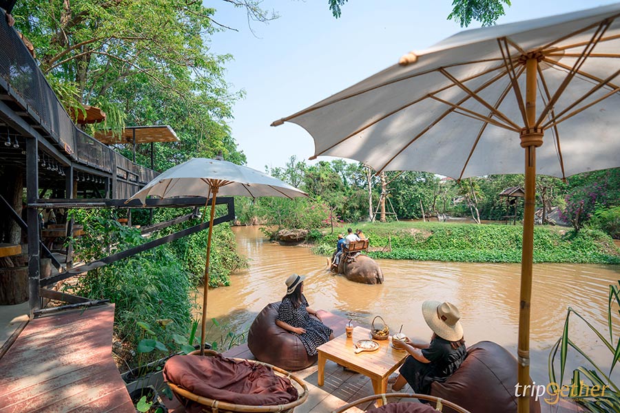 5 คาเฟ่ในสวนชลบุรี