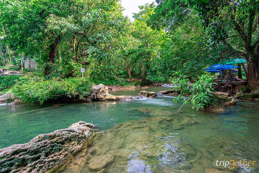 7 ร้านอาหาร คาเฟ่ริมน้ำตก