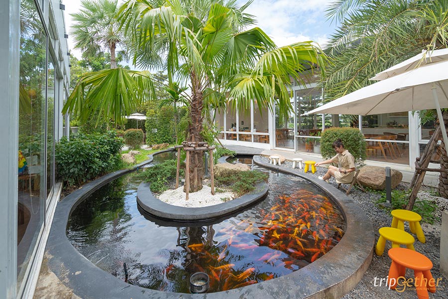 7 ร้านอาหาร คาเฟ่ริมน้ำตก