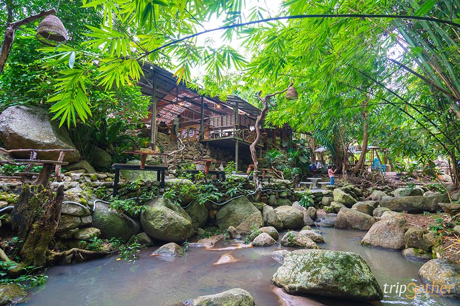 8 ร้านอาหาร คาเฟ่สุดชิลล์