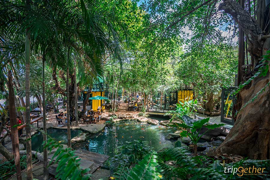 5 คาเฟ่ในสวนชลบุรี