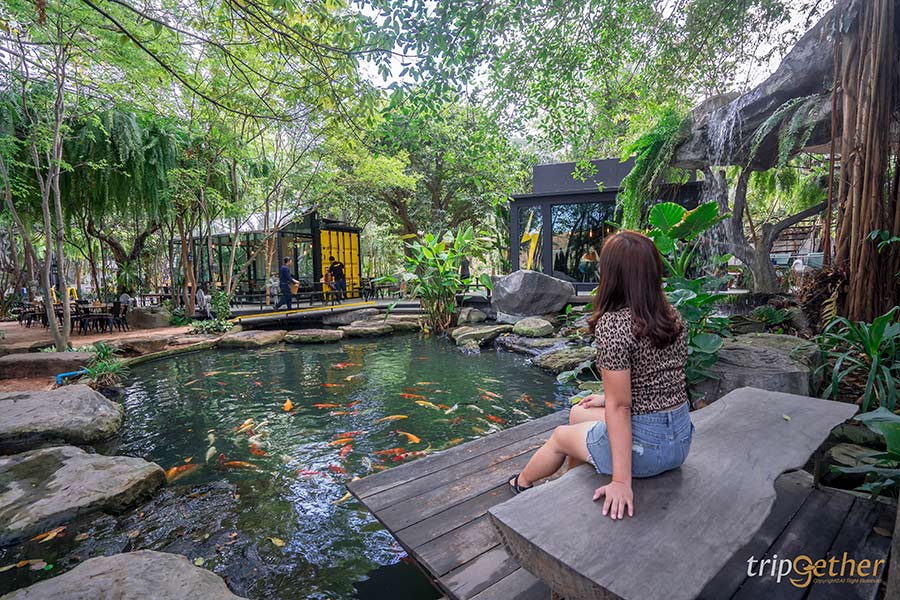 5 คาเฟ่ในสวนชลบุรี