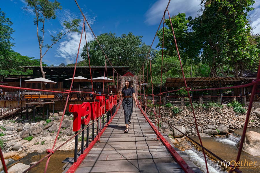 8 ร้านอาหาร คาเฟ่สุดชิลล์