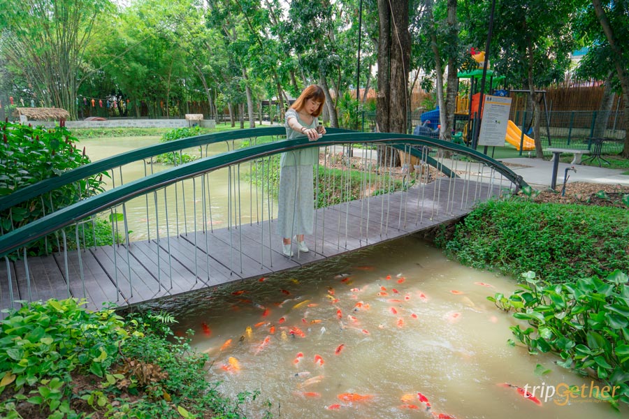 5 คาเฟ่ในสวนชลบุรี