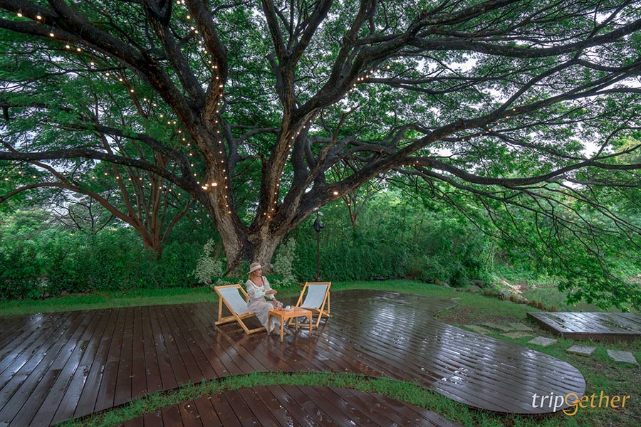 7 ร้านอาหาร - คาเฟ่บรรยากาศดี