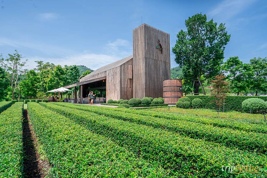 7 ร้านอาหาร - คาเฟ่บรรยากาศดี