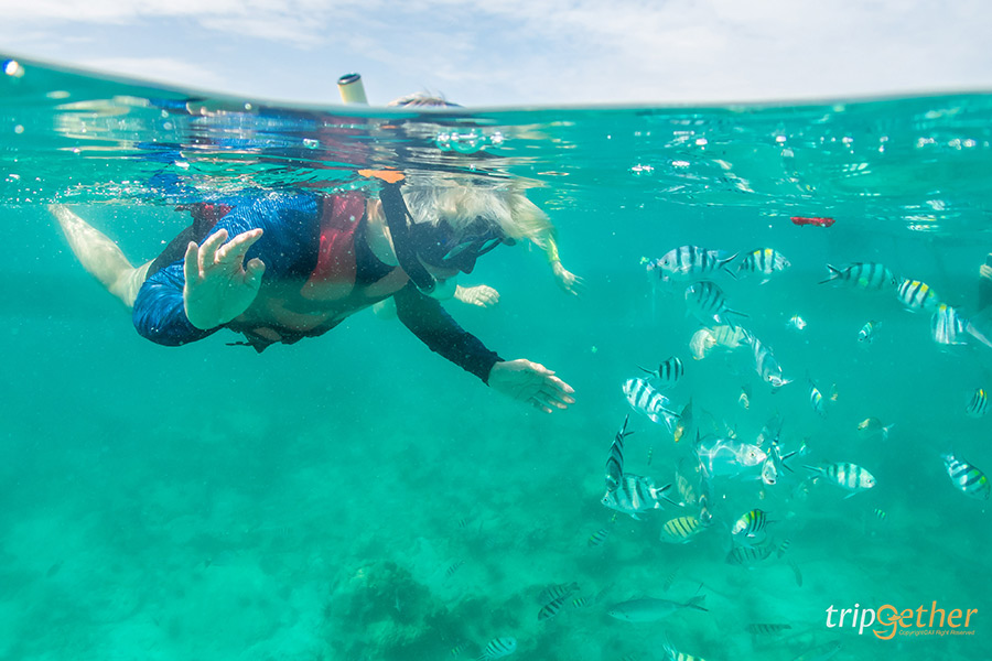 7 ทริปเที่ยวทะเล จะเน้นชิลล์หรือจัดเต็มกิจกรรมมีให้เลือกหมด!