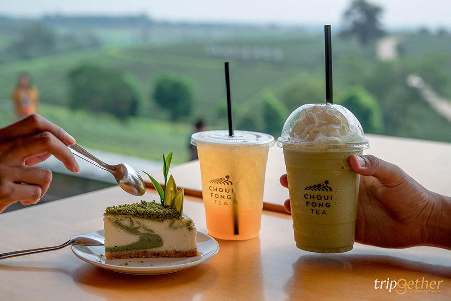 5 คาเฟ่กลางไร่ชา